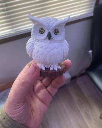 Hedwig civetta di Harry Potter