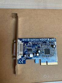 SK grafica DVI GRAPHICS HDCP ROHS ASROCK - NUOVA