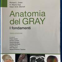 Anatomia del Gray - I fondamenti, III edizione