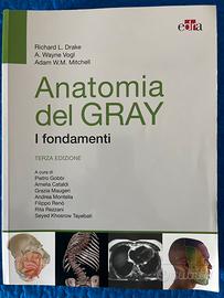 Anatomia del Gray - I fondamenti, III edizione