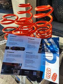 assetto audi/golf cobra suspension