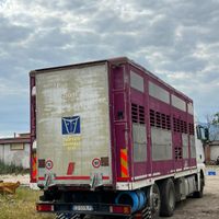 Camion trasporto animali vivi