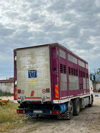 Camion trasporto animali vivi