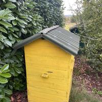 Arnie Perone per api in Permapicoltura complete