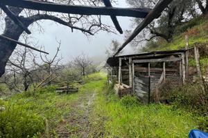 TER. AGRICOLO A NOCERA TERINESE