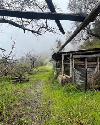 TER. AGRICOLO A NOCERA TERINESE