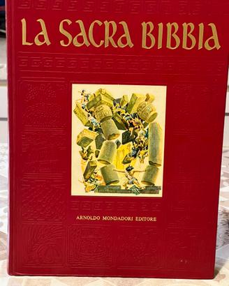 La Sacra Bibbia Edizione vintage da collezione