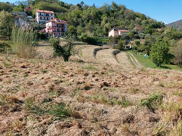 Terreno agricolo
