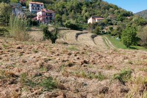 Terreno agricolo