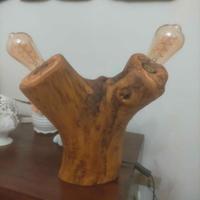 tronco d'ulivo luminoso