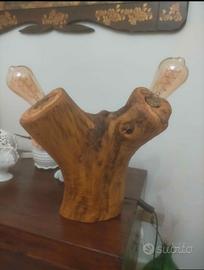 tronco d'ulivo luminoso