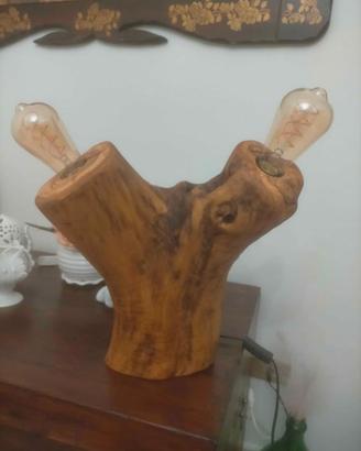 tronco d'ulivo luminoso