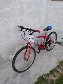 bicicletta ragazzi 