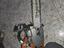 Immagine 2
