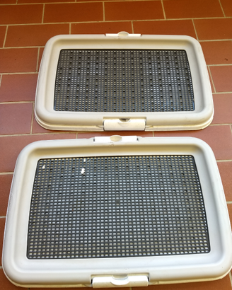 Set educativo trainer per cuccioli
