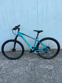 bicicletta Bottecchia 109