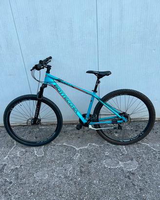 bicicletta Bottecchia 109