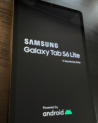 Samsung Galaxy Tab S6 Lite SM-P610 64GB
