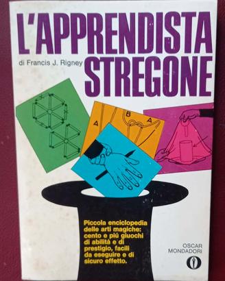 l'apprendista stregone