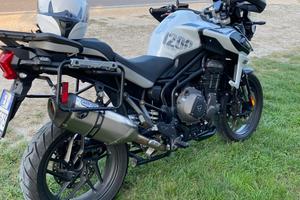 Triumph Tiger 1200 Alpine Edition SE