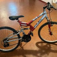 Mountan bike prontamente disponibile