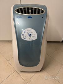 condizzionatore carrier