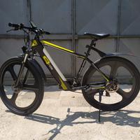 Biciclette elettrica con motore da 250w