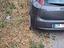 Immagine 1