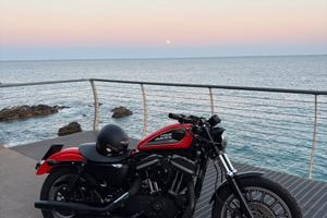 HARLEY DAVIDSON 883R