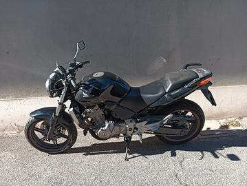 cb 500 del 2004