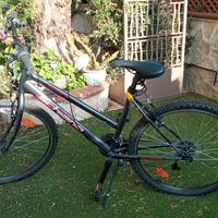 Mountain bike donna 26" Flli SCHIANO.