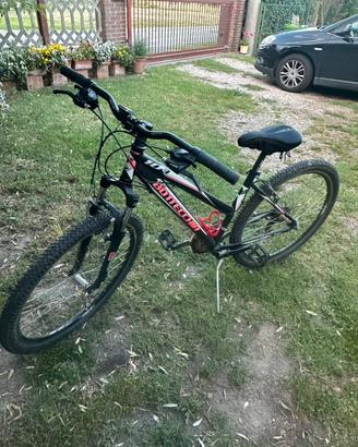 Mountain bike Bottecchia