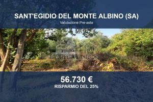 Immobile in asta di 3000 m² a Sant'Egidio del Mont