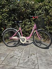 Bicicletta Alpina