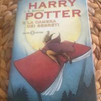 Harry Potter e la camera dei segreti