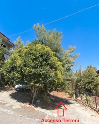 Terreni 5.299 m² a Santu Lussurgiu - Zona B e C