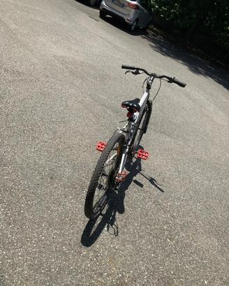 Bici da ragazzo 24”