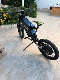 Bicicletta elettrica