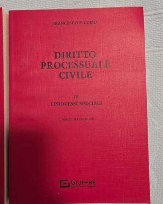 Procedura civile Luiso