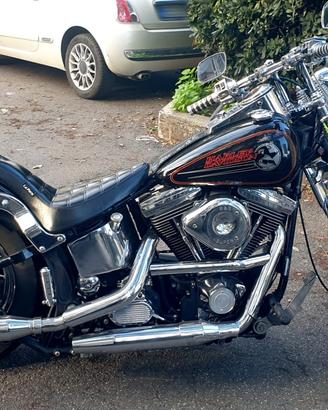 Springer Softail 1340