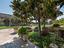Immagine 27