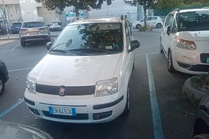panda 169