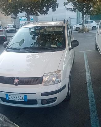 panda 169