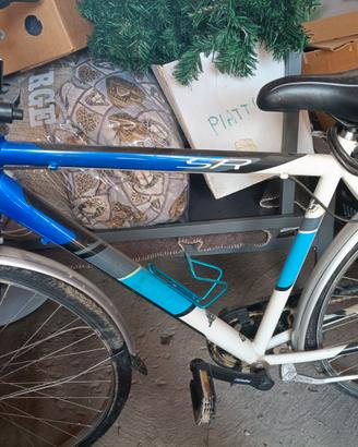 bicicletta uomo e bambino
