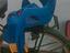 Immagine 1