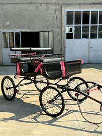 CALESSE E ACCESSORI