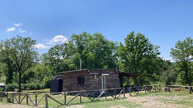 Fida e mezza fida cavalli - Tra Vejo e Treja