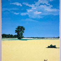 Quadri di Alvaro Cattaneo