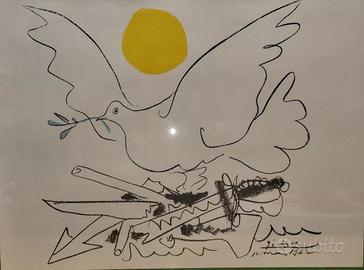 Pablo Picasso-Colombe au Soleil,1962 Litografia