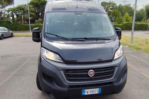 fiat ducato maxi  2019     9 posti 